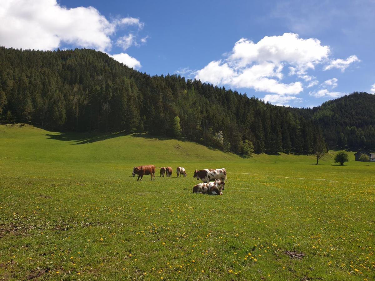 Apartmán Bauernhof Moar Kernhof Exteriér fotografie