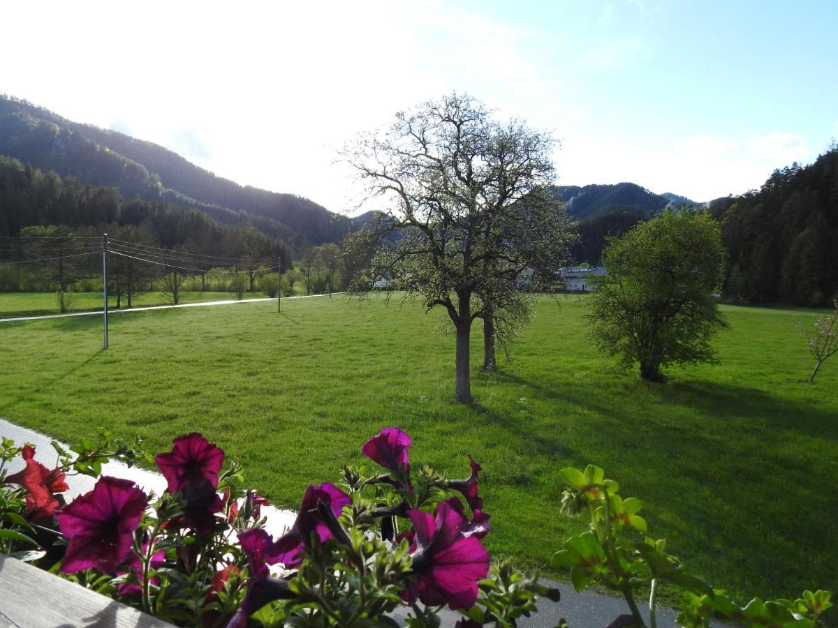 Apartmán Bauernhof Moar Kernhof Exteriér fotografie