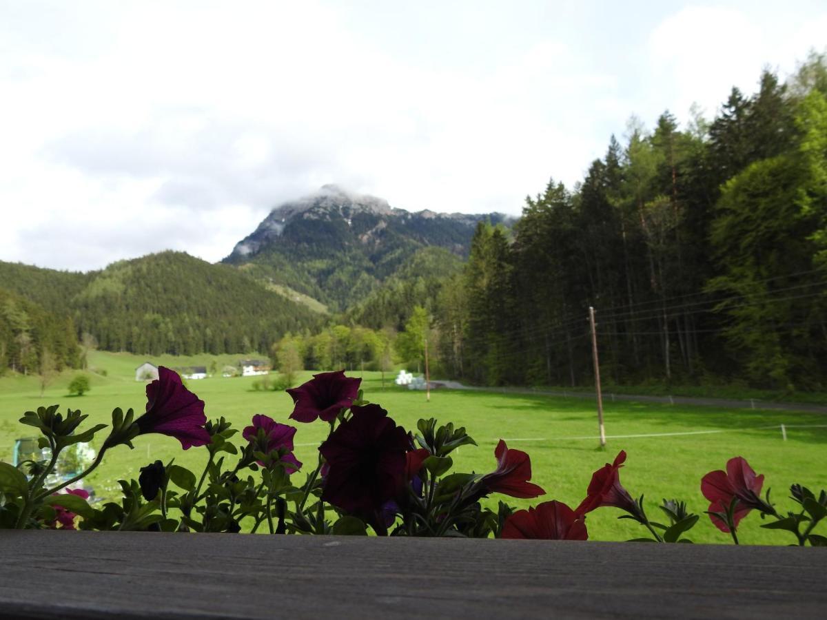 Apartmán Bauernhof Moar Kernhof Exteriér fotografie